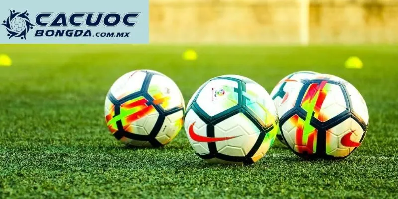 Tổng hợp các giải đấu có lượt theo dõi cực khủng tại Vivu88